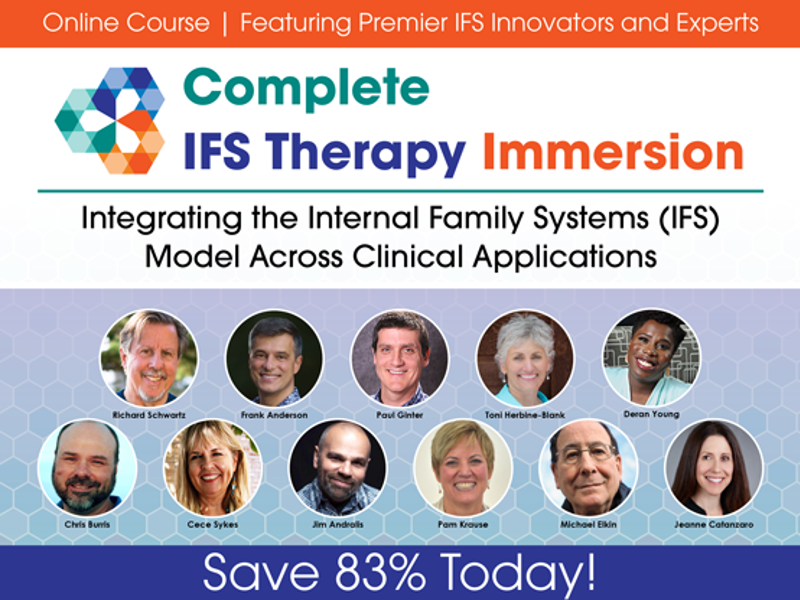 001403 IFS Immersion NOUVEAU TITRE 555 × 416